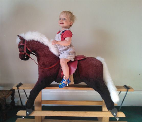 The Rocking Horse Works Pegasus Fur Horses